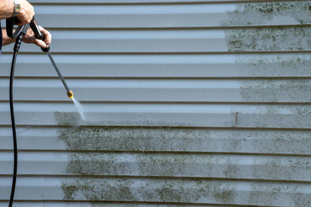 Best Shed Removal  in Riverside, UT